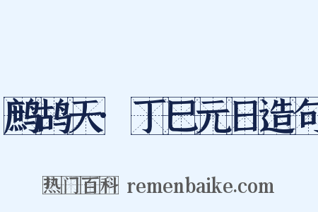 鹧鸪天·丁巳元日造句是什么意思的图片